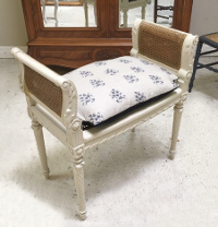 french antique cane seat